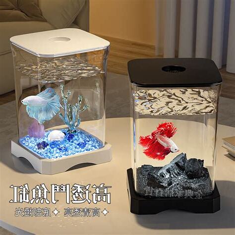 辦公室 魚缸